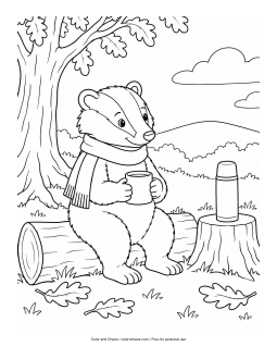 Preview of a badger enjoying tea in a woodland setting